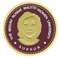 Logo of Begum Nusrat Bhutto University(BNBWU)